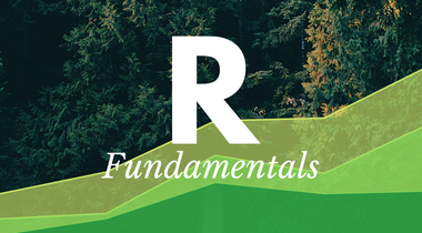 R: Fundamentals